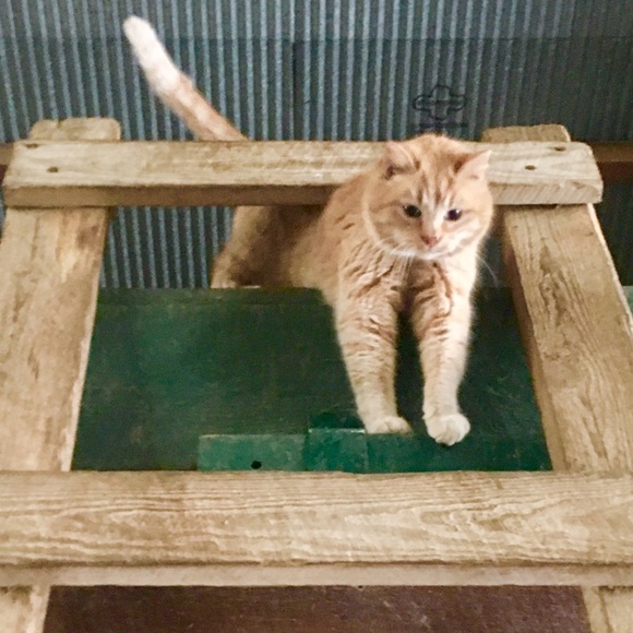 Price is too high?  Give “make an offer a try!” 🌻 - Picture 5 of 13